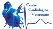 Logo Centro Cardiologico Veterinario