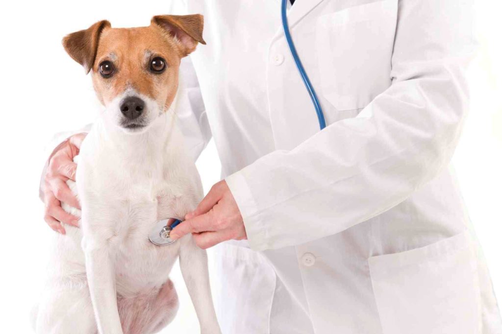 La visita Cardiologica